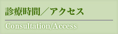 診療時間／アクセス|Consultation/Access
